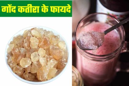 Gond Katira Benefits: गर्मियों में गोंद कतीरा खाने से क्या लाभ होता है? कैसे करते हैं इसका सेवन